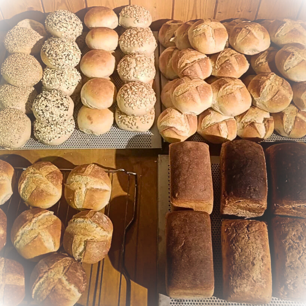 Viele Brote und unterschiedliche Brötchen - Grundteig